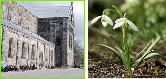 image of church in Lund and a snowdrop