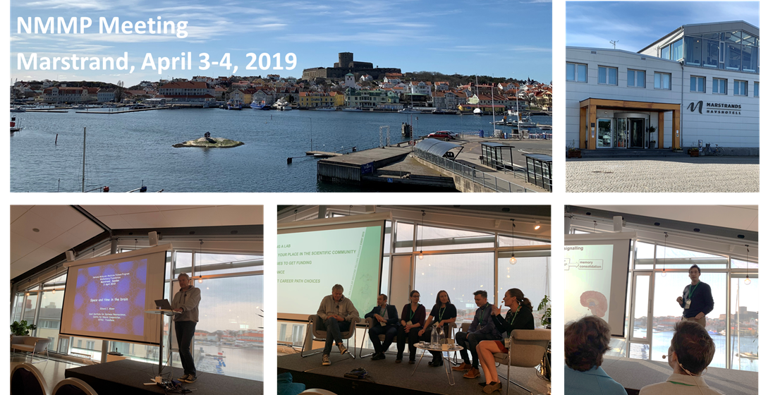 NMMP Meeting Marstrand April 2019