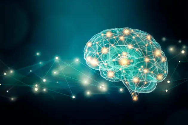 Illustration av en hjärna.