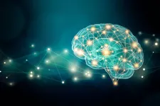 Illustration av en hjärna.