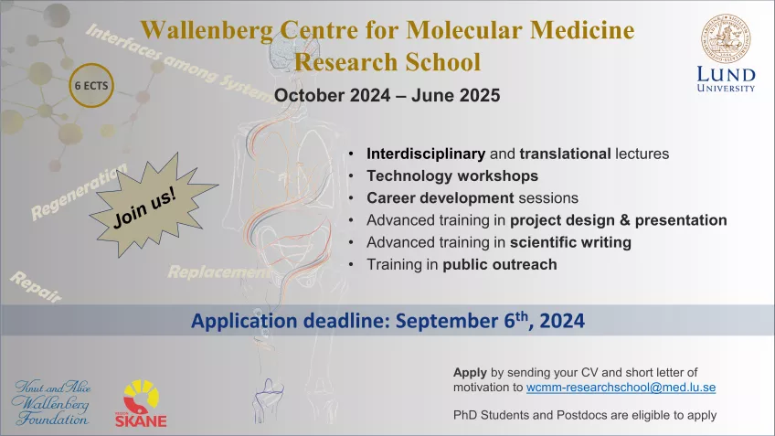 Promotional Flyer for Research School 2024
